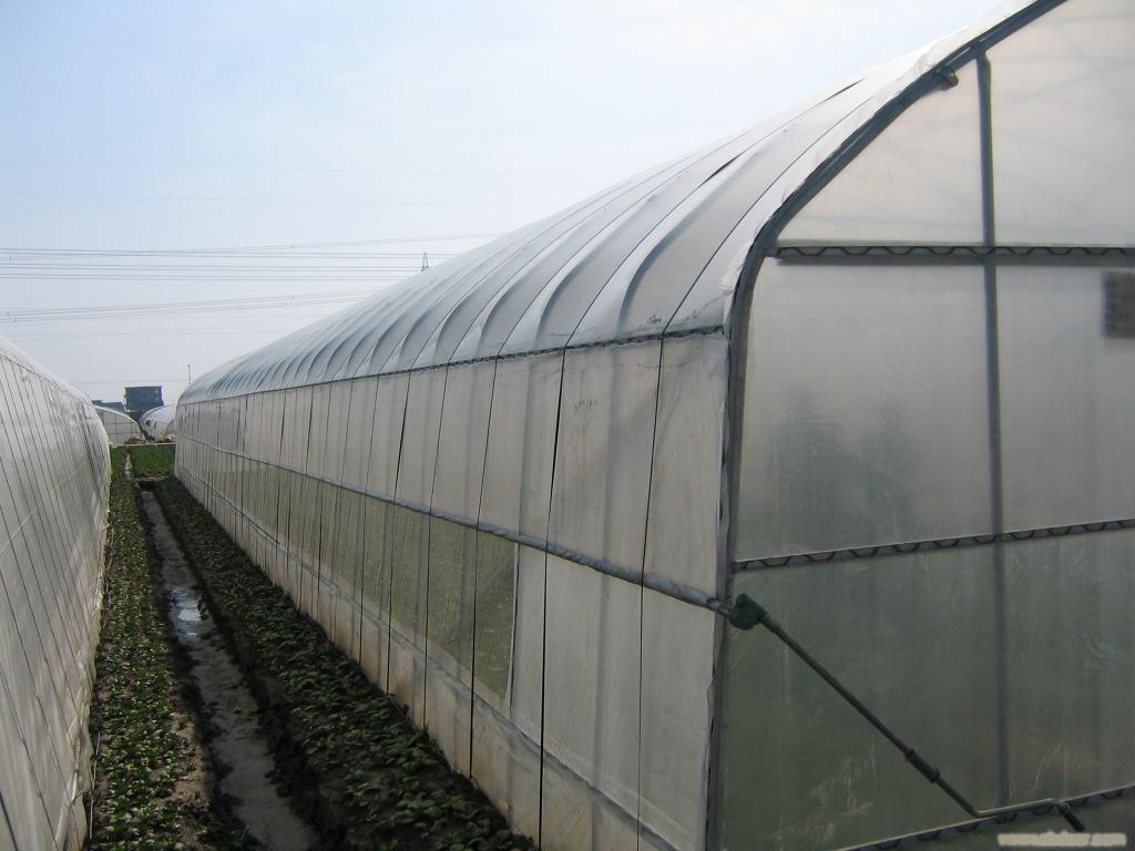 大棚蔬菜施用二氧化碳技术 